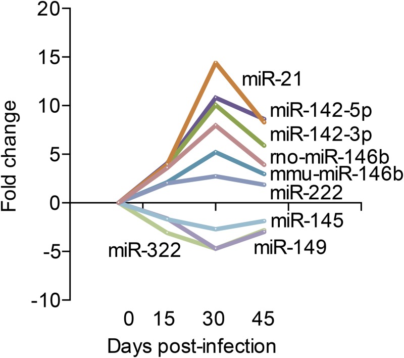 Fig 4