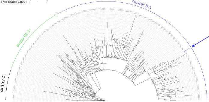 FIG 1