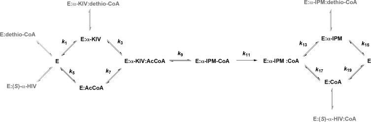 Scheme 2