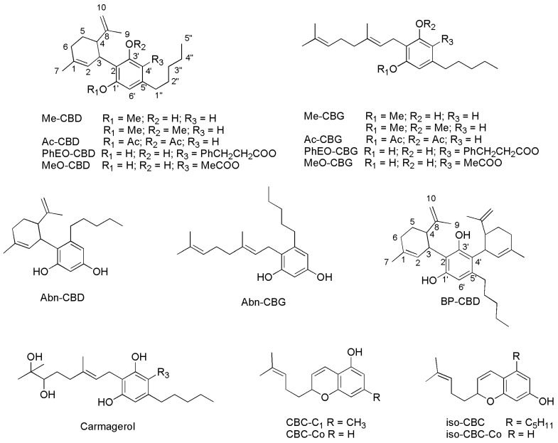 Figure 11