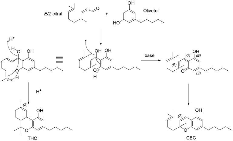 Scheme 4