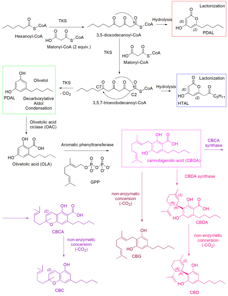 Scheme 2