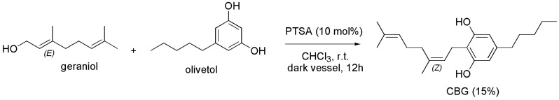 Scheme 13