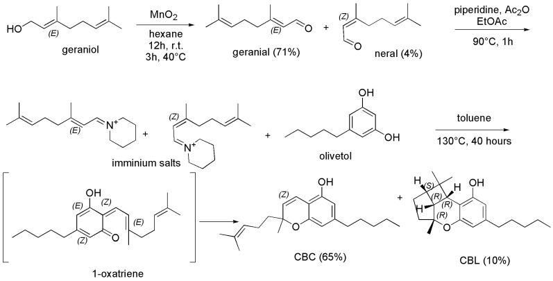 Scheme 3