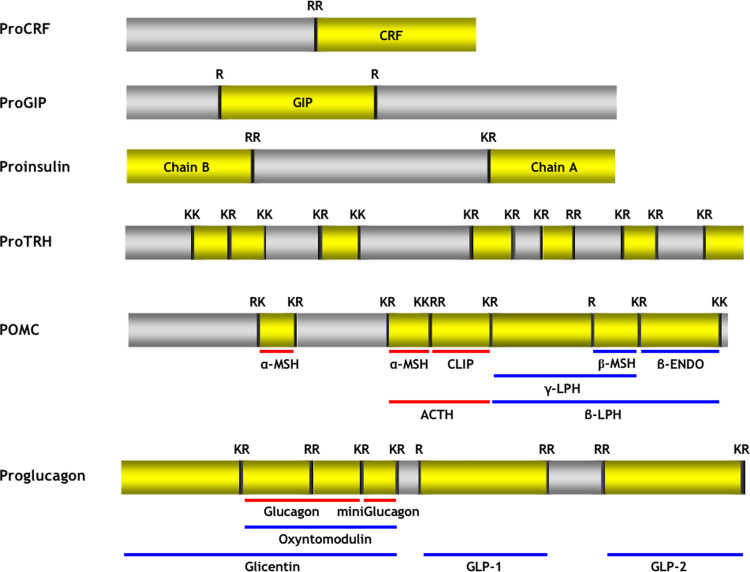 Fig. 1