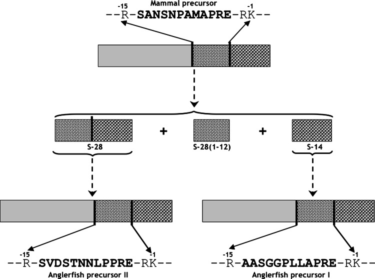 Fig. 6
