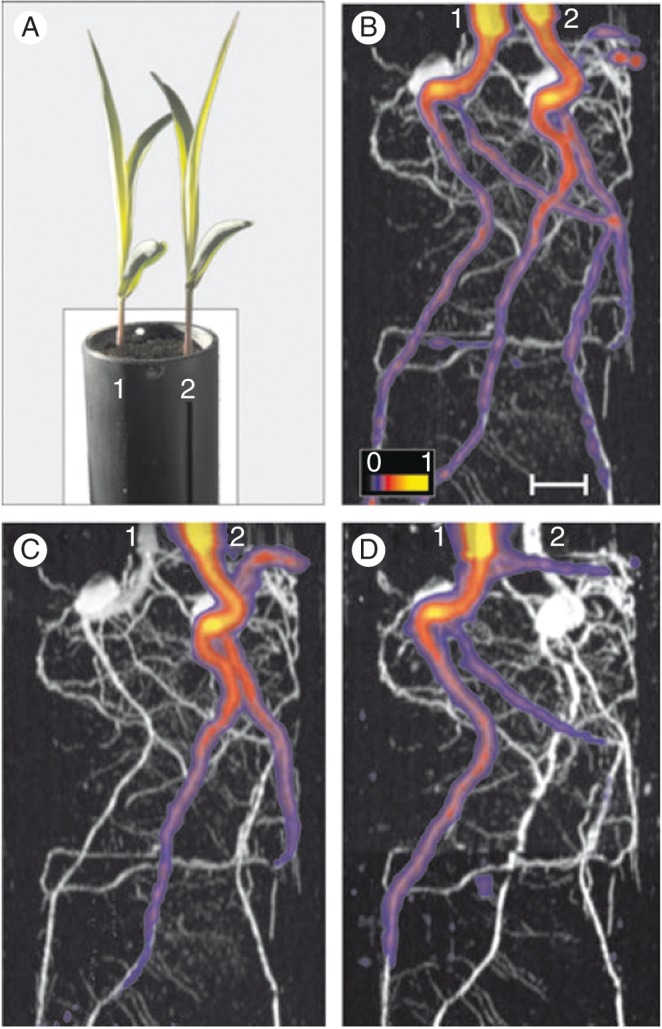 Fig. 6.