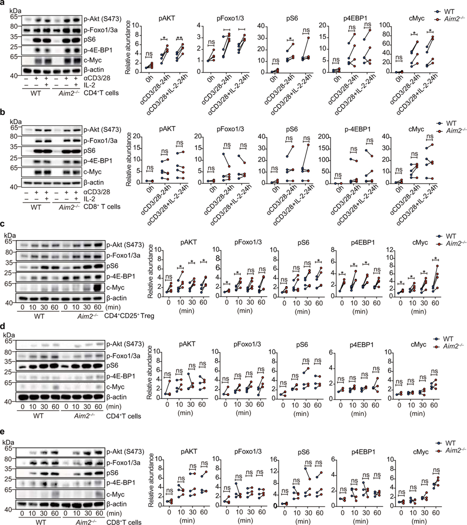 Extended Data Figure 9.