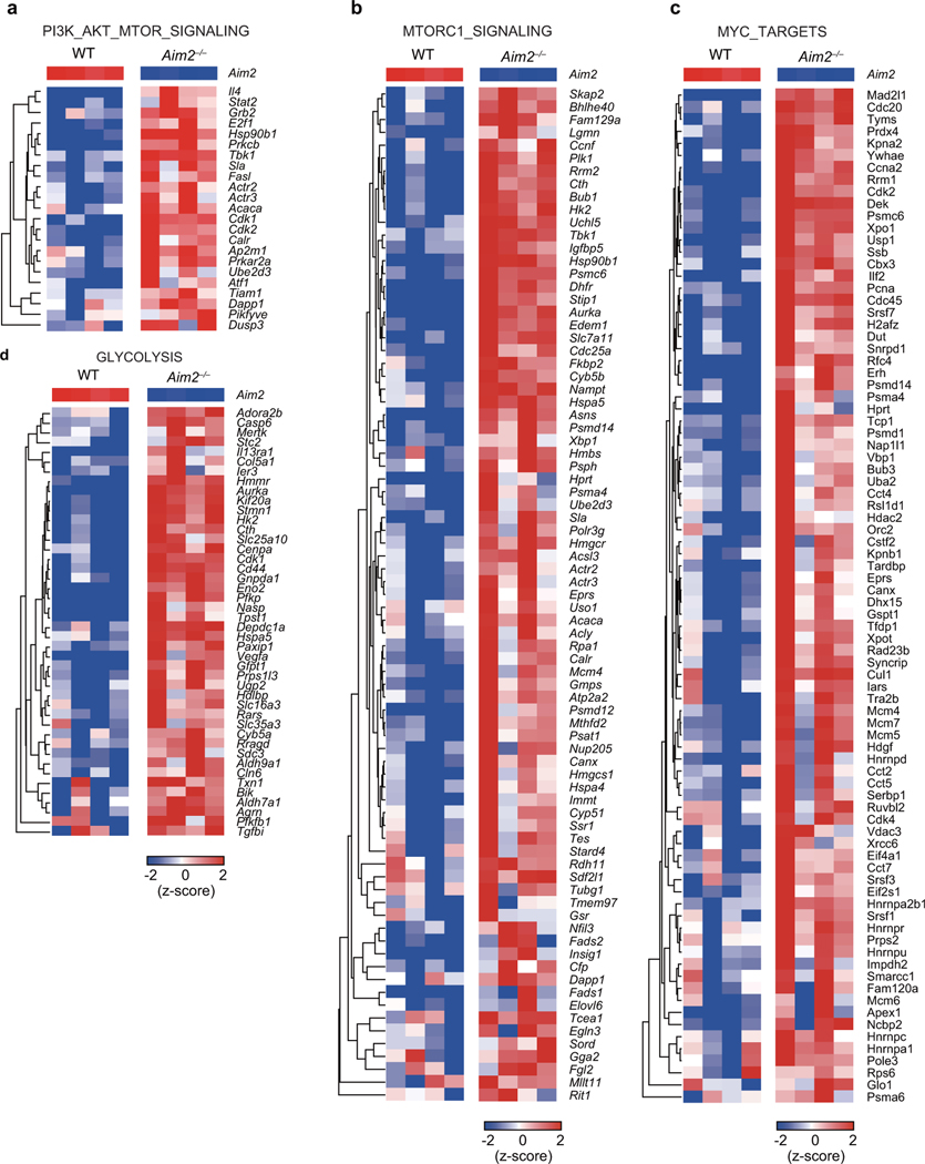 Extended Data Figure 8.