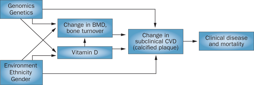 Figure 1 |