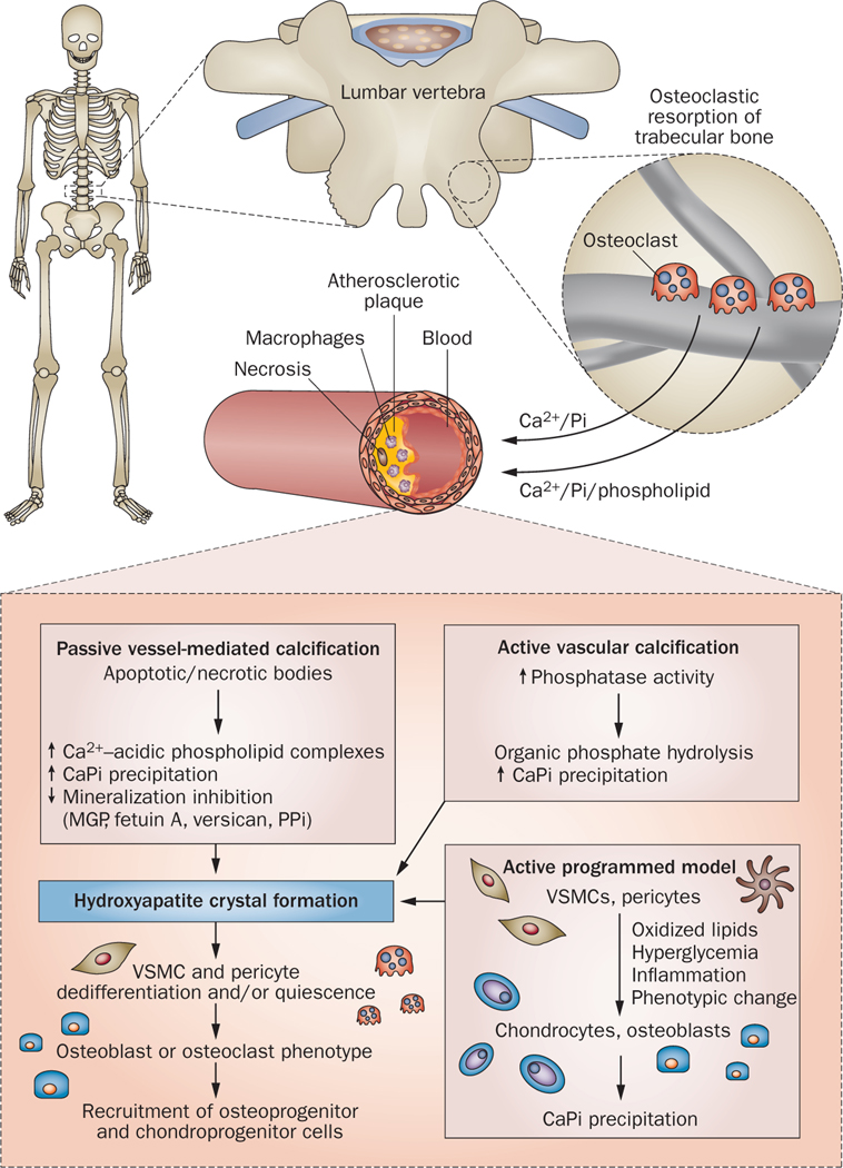 Figure 2 |