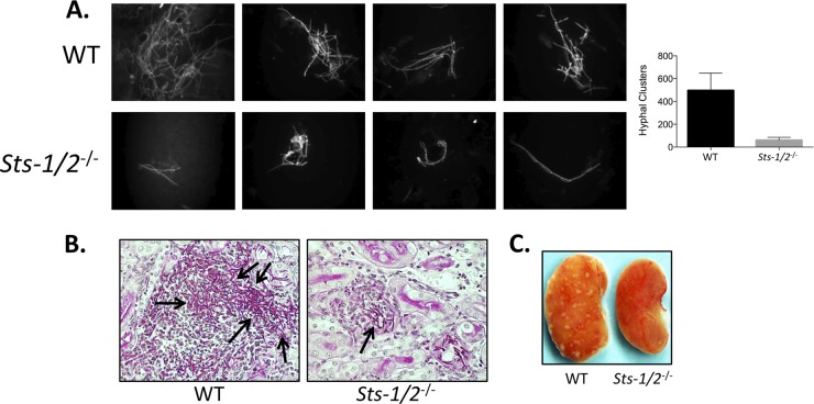 FIG 3