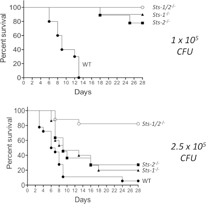 FIG 2