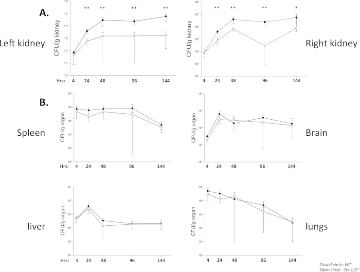 FIG 4