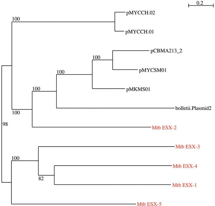 Fig. 2