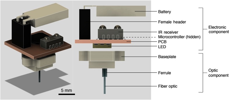 Fig. 1