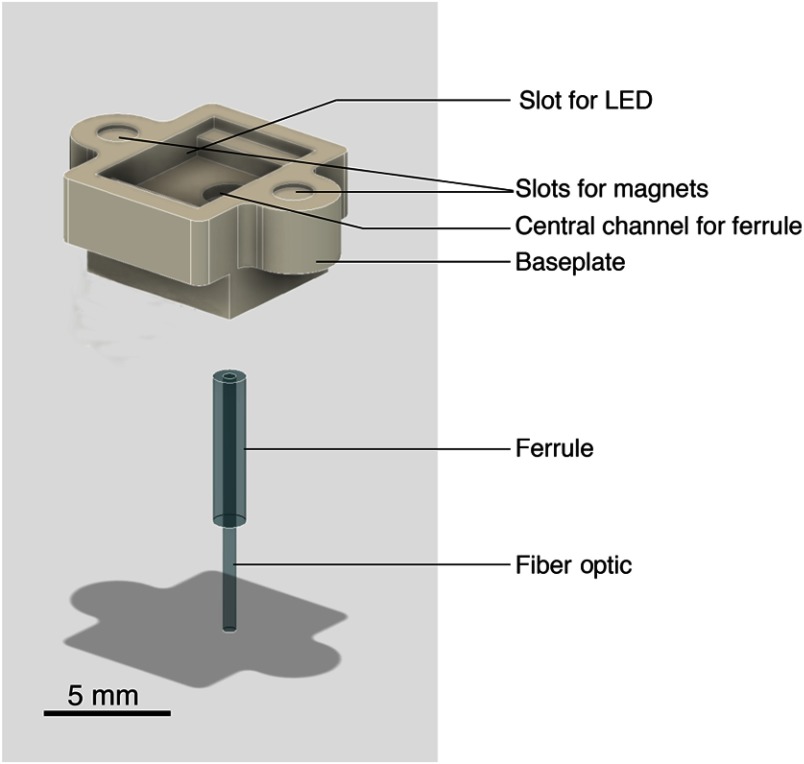 Fig. 2