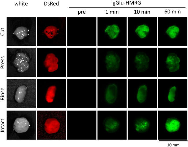 Figure 4.