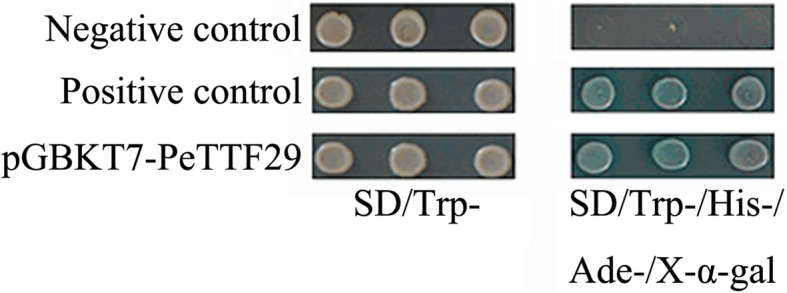 Fig. 13