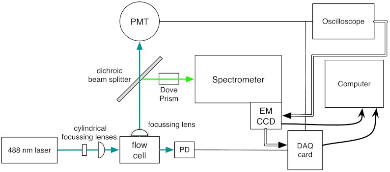 Fig. 1