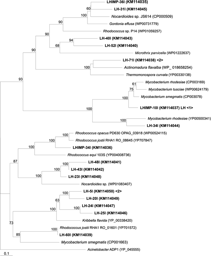 Fig. 1