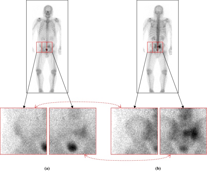 Fig. 3