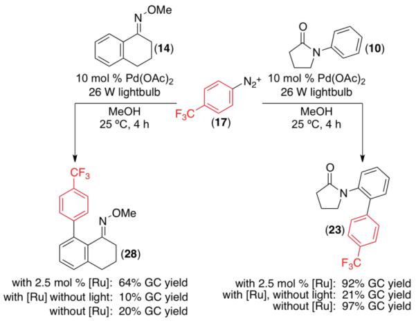 Scheme 2