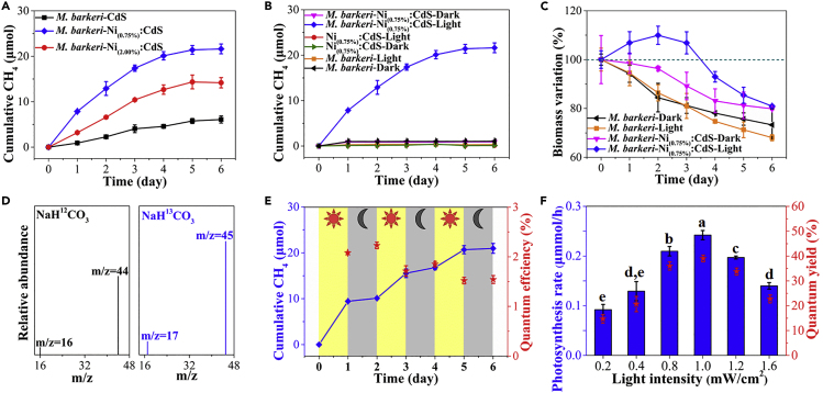 Figure 2