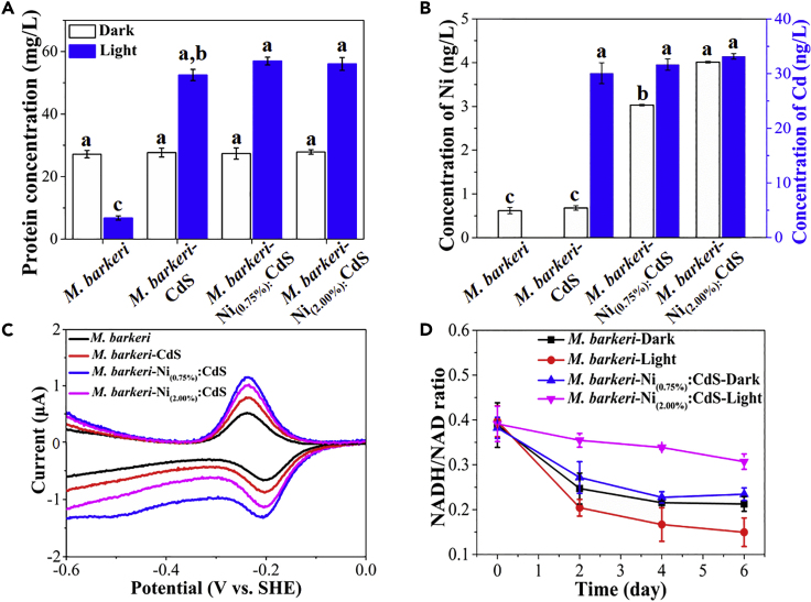 Figure 5