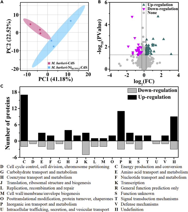 Figure 6