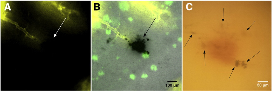 Fig. 5