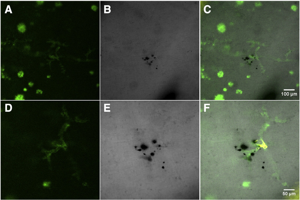 Fig. 4