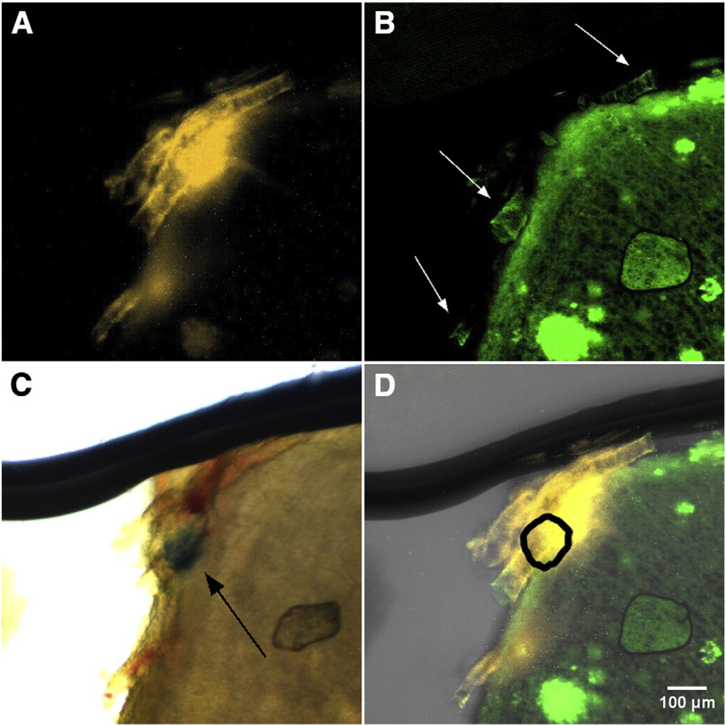 Fig. 3