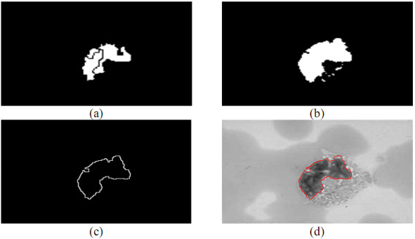 Figure 19