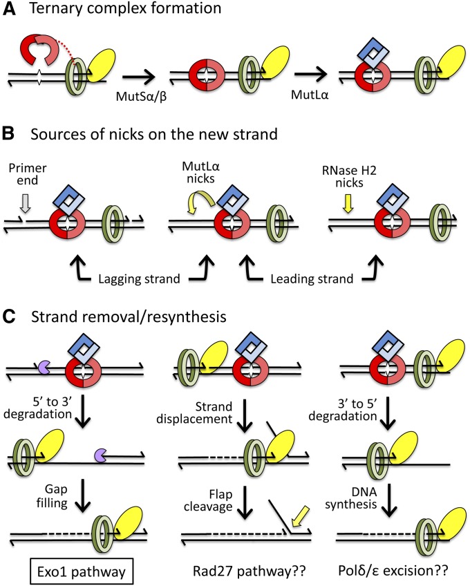 Figure 7