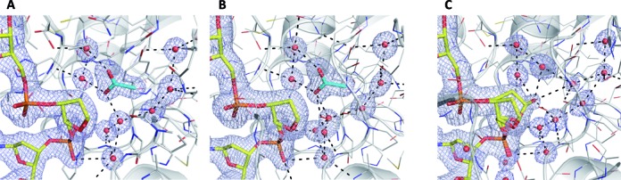 Figure 3.