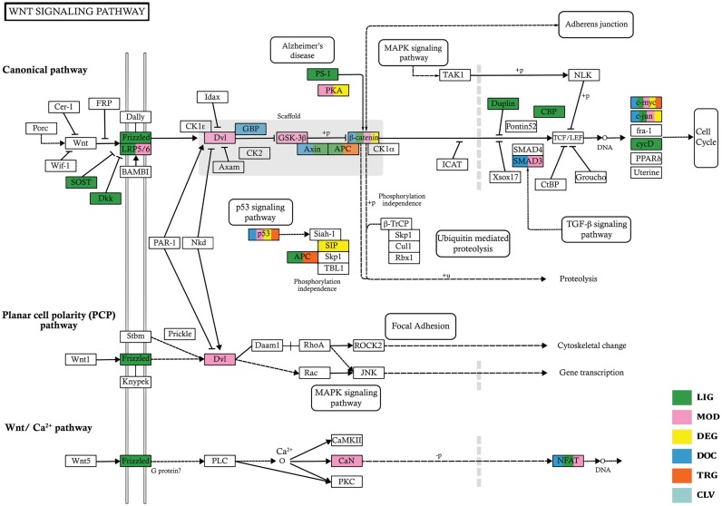 Figure 6.