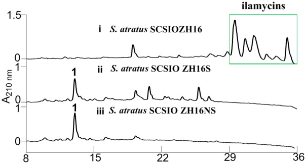 FIGURE 3