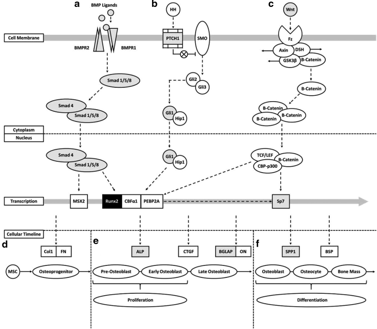 FIG. 7.