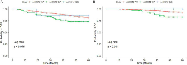 Figure 3