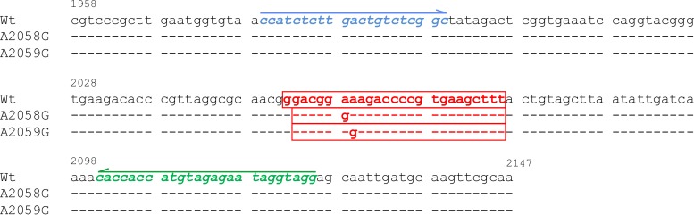 FIG 1