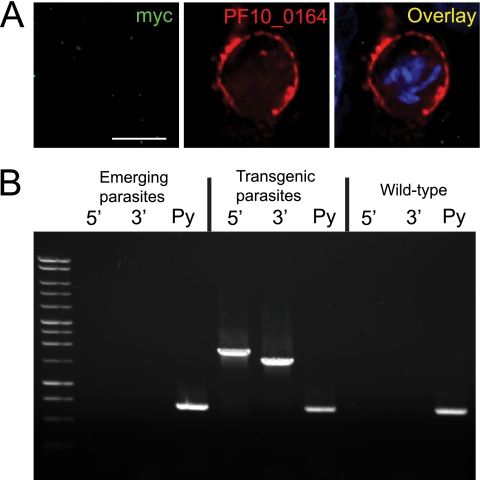 Fig. 10.