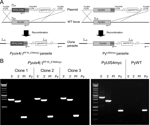 Fig. 6.