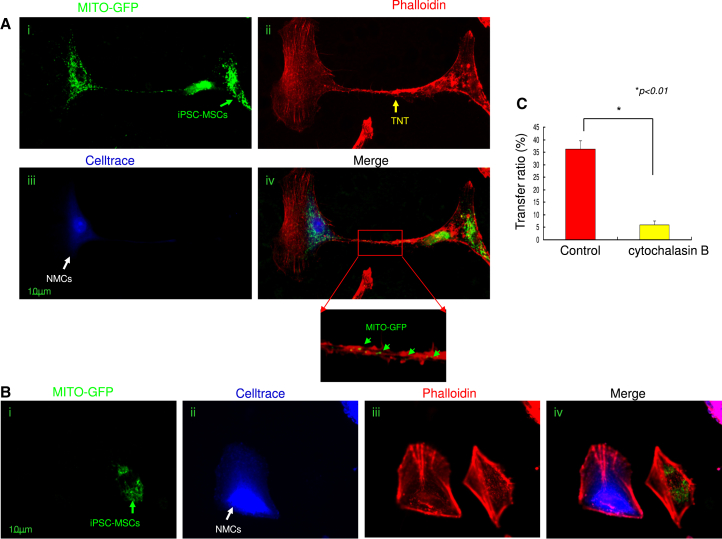 Figure 4