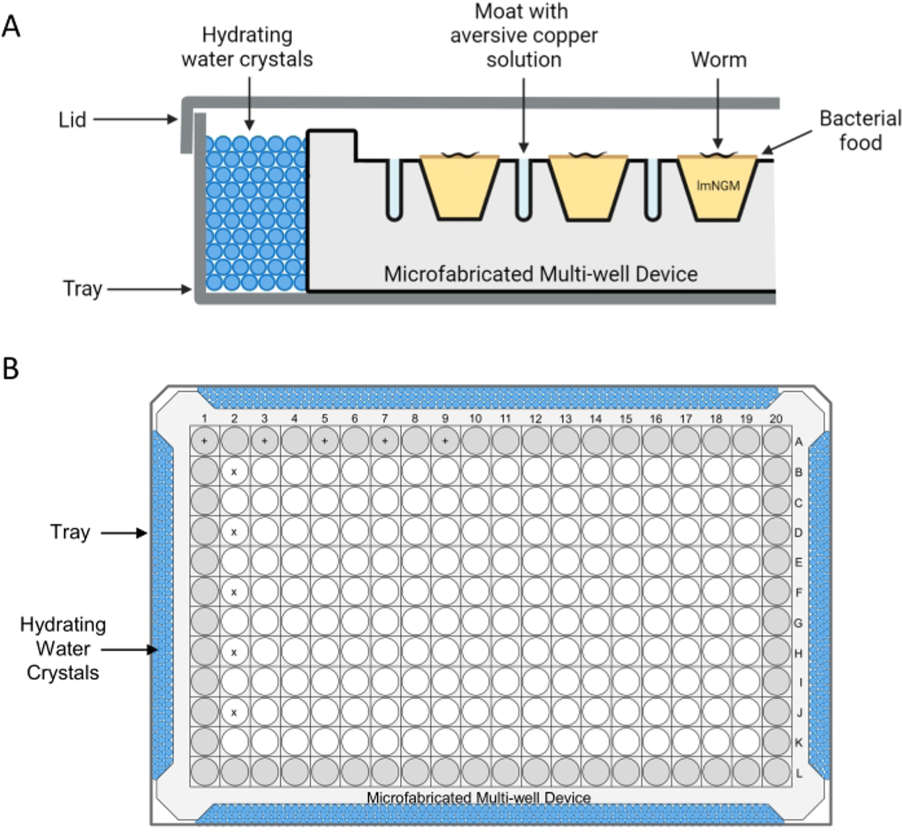Figure 1: