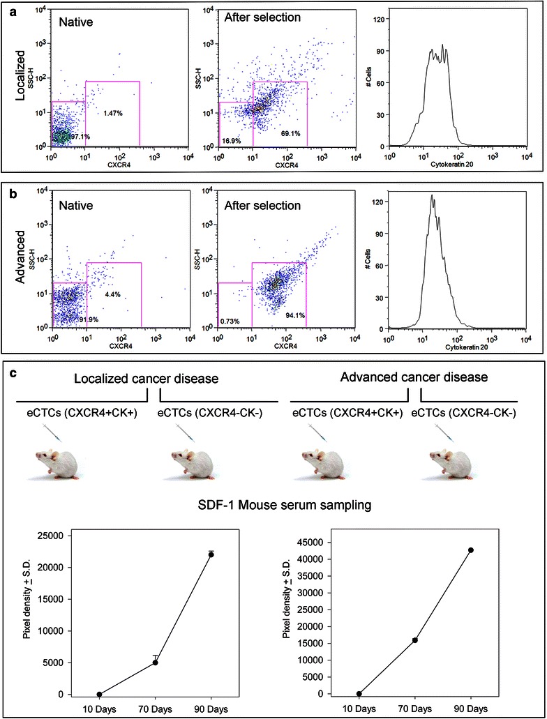 Fig. 7