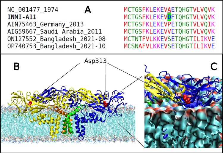 Figure 5.