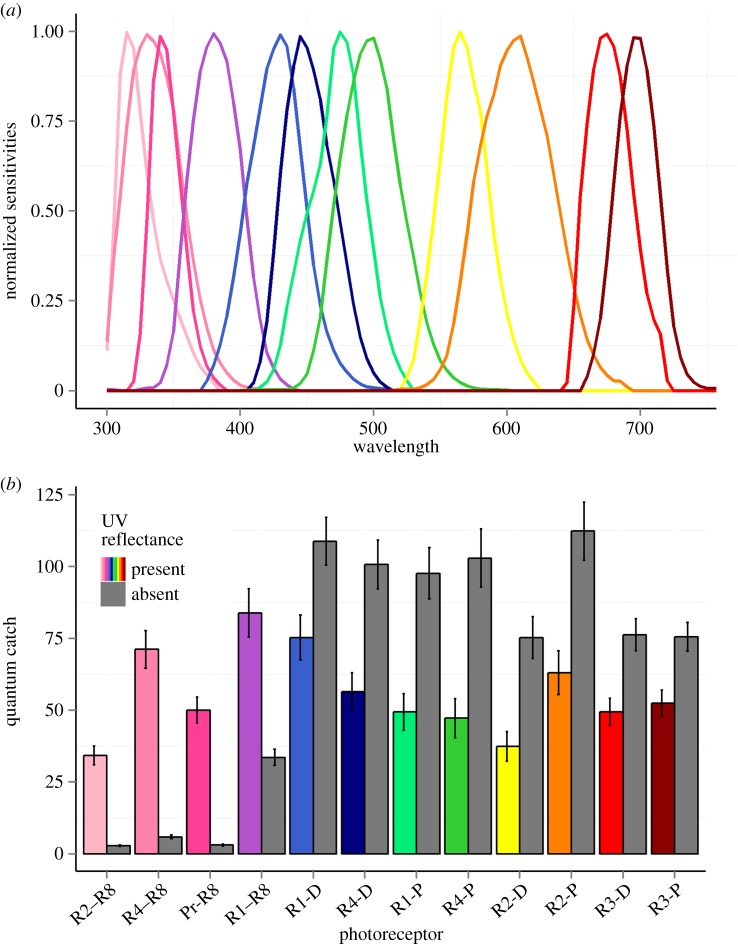 Figure 3.