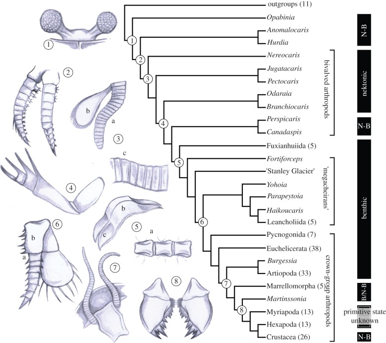 Figure 3.