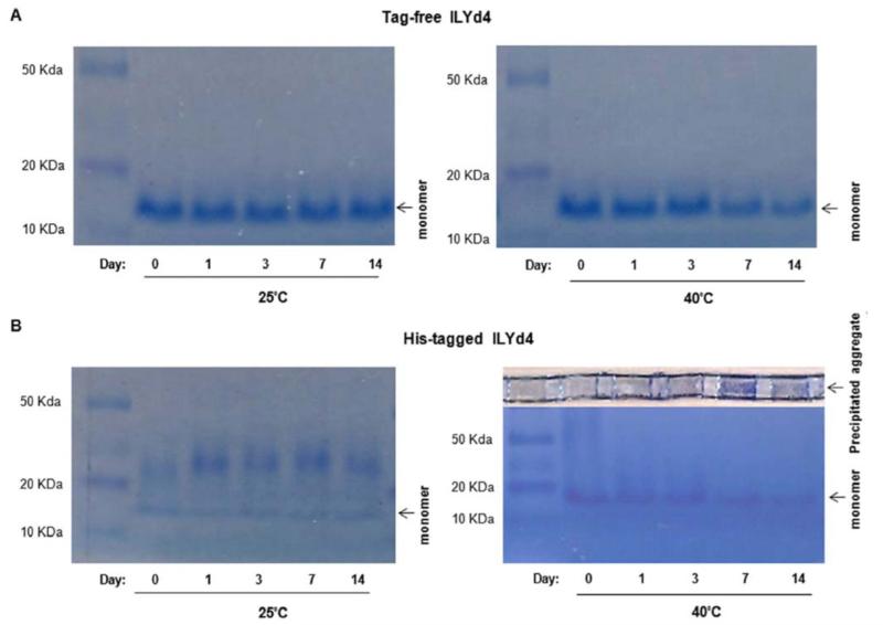 Fig. (5)